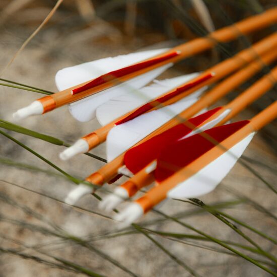 Traditional Carbon Arrow – Bamboo Look